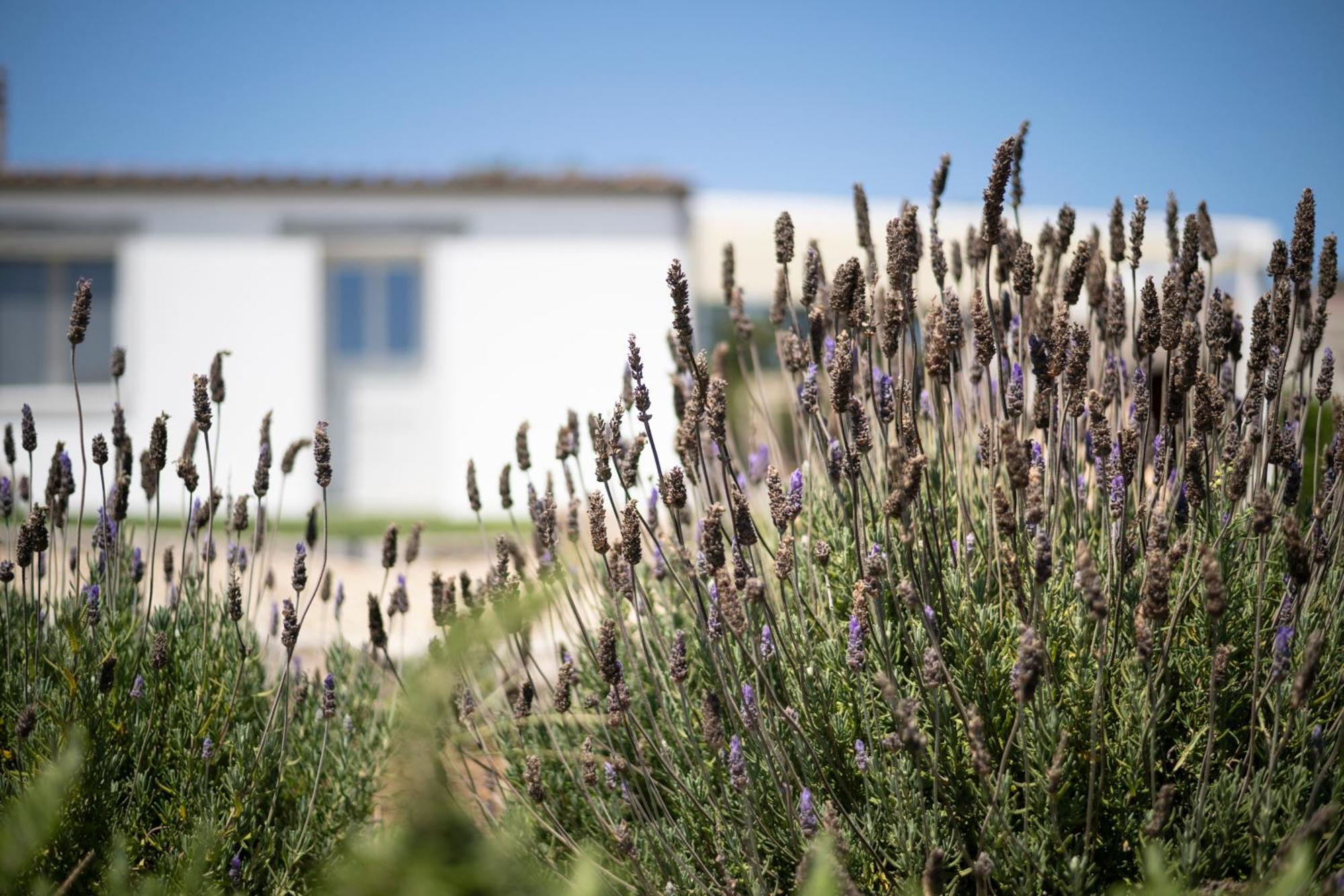 سانتا تيريزا غالّورا Casa Di Minnanni B&B المظهر الخارجي الصورة
